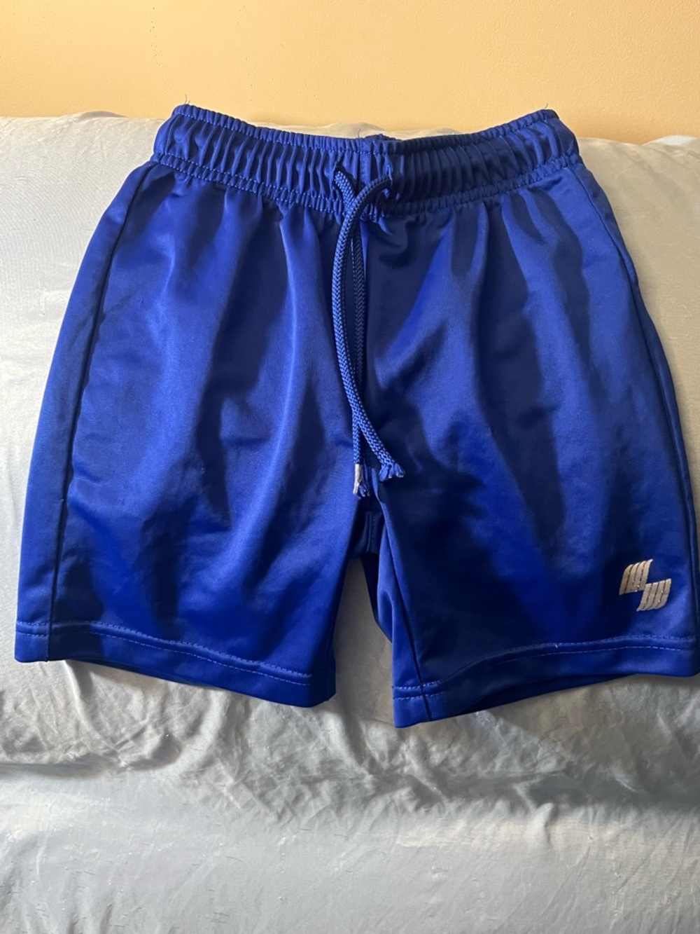 Boys Athletic Blue Shorts